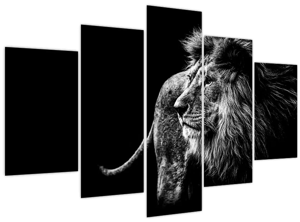 Tablou - Leu (150x105 cm)