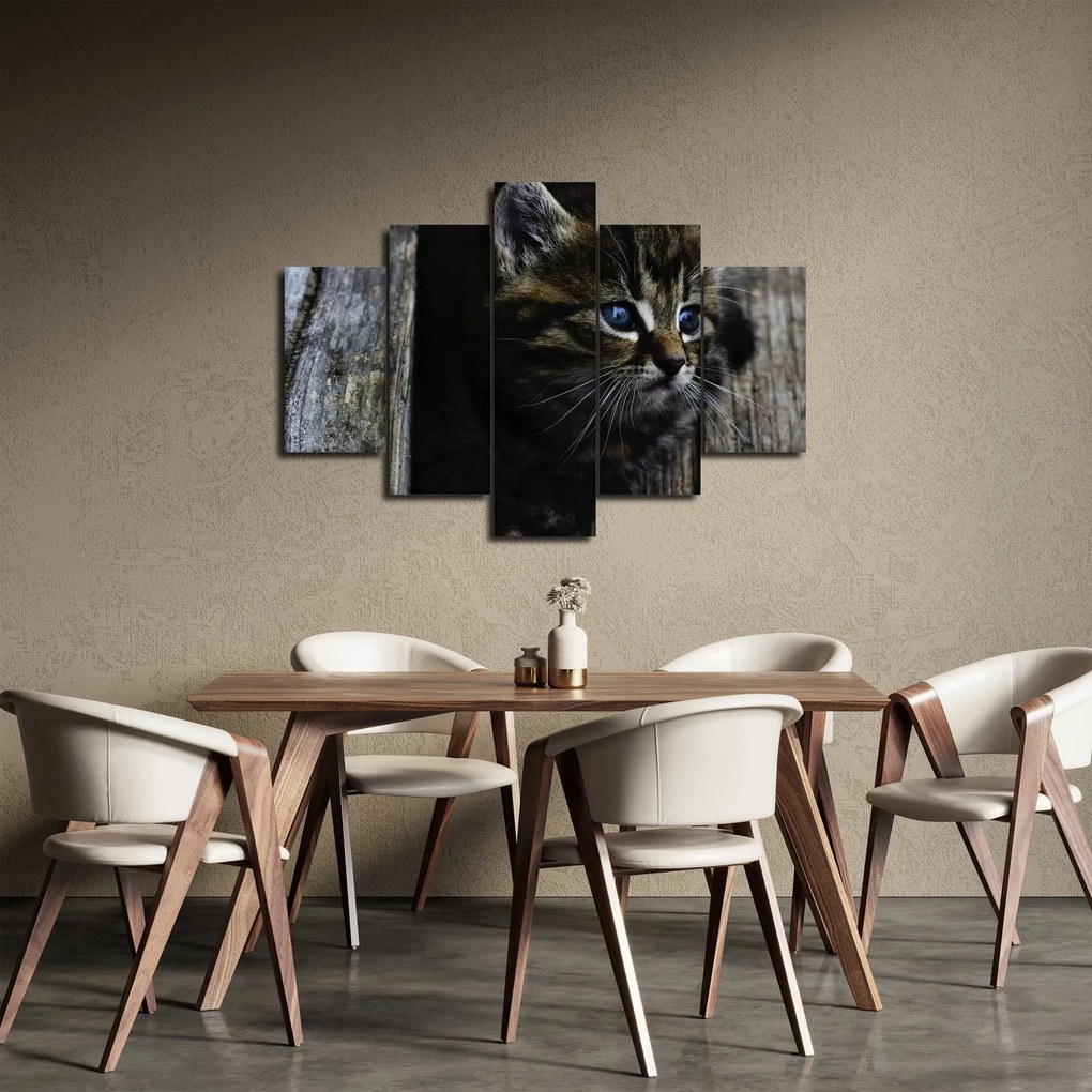 Tablou cu pisicuța (150x105 cm)