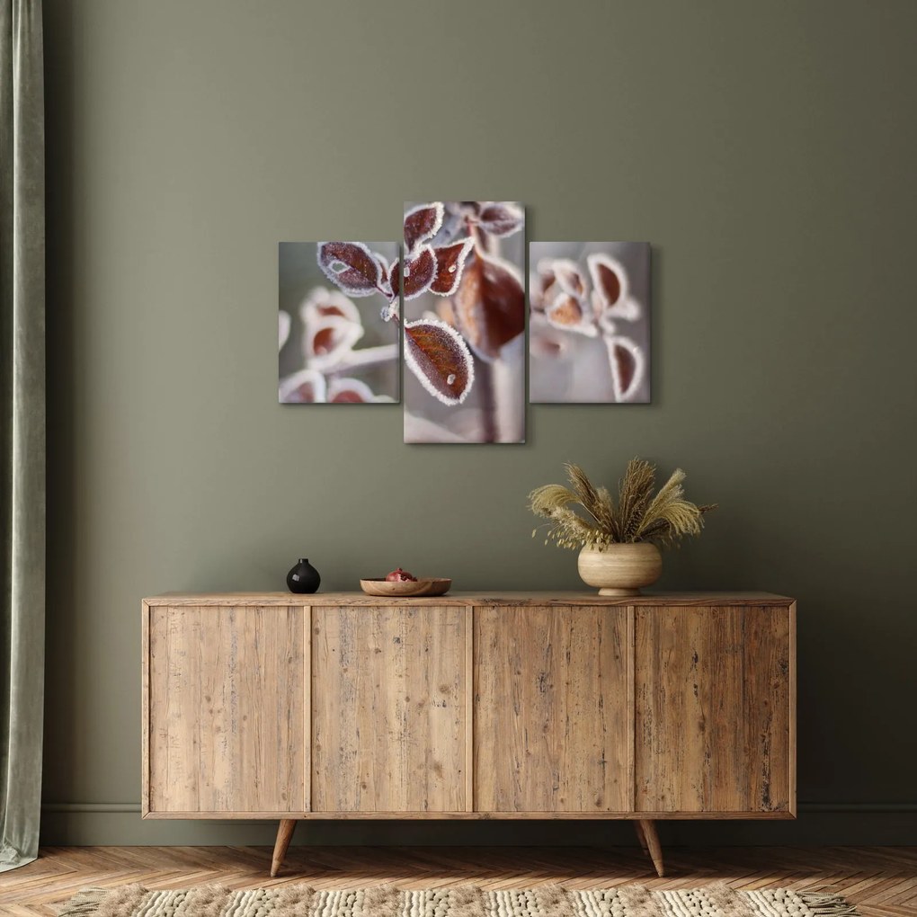 Tablou - Detaliu frunze (90x60 cm)