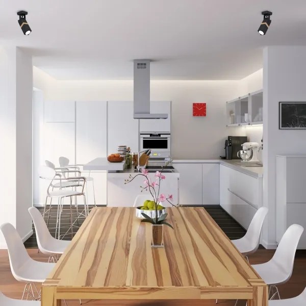 Lampă spot VIDAR 1xGU10/25W/230V negru