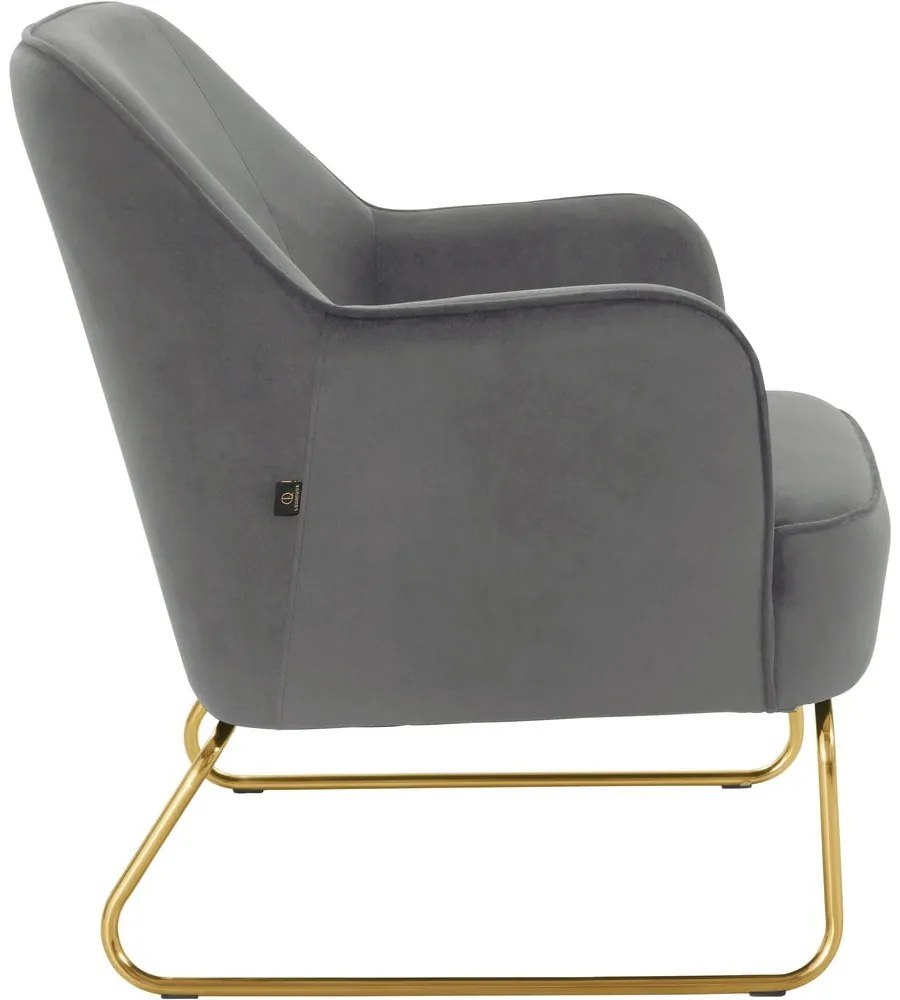 Fotoliu gri cu tapițerie din catifea Joshua - Støraa