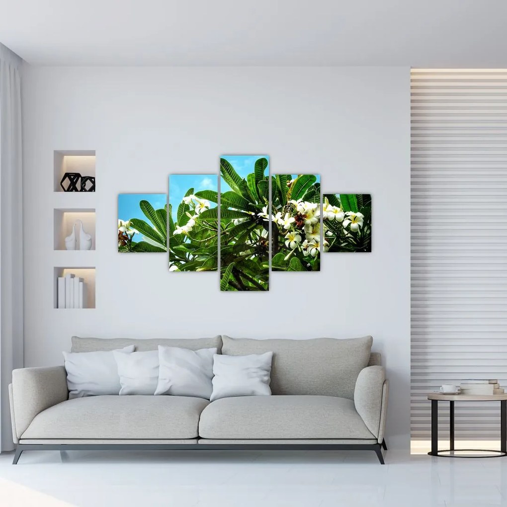 Tablou - Plumeria (125x70 cm), în 40 de alte dimensiuni noi