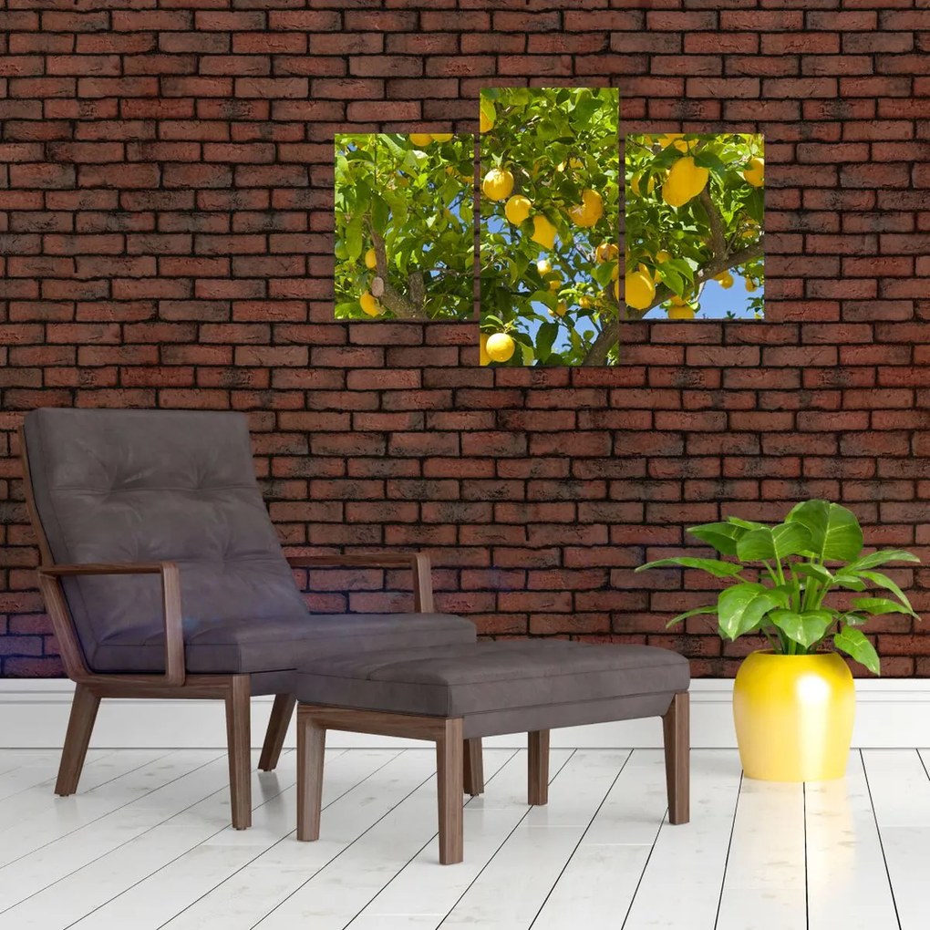 Tablou - Lămâiță (90x60 cm)