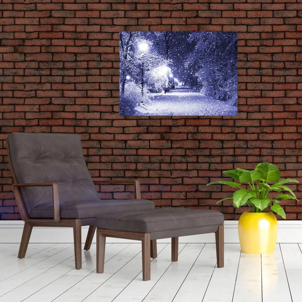 Tablou pe sticlă - Noaptea magică de iarnă (70x50 cm)