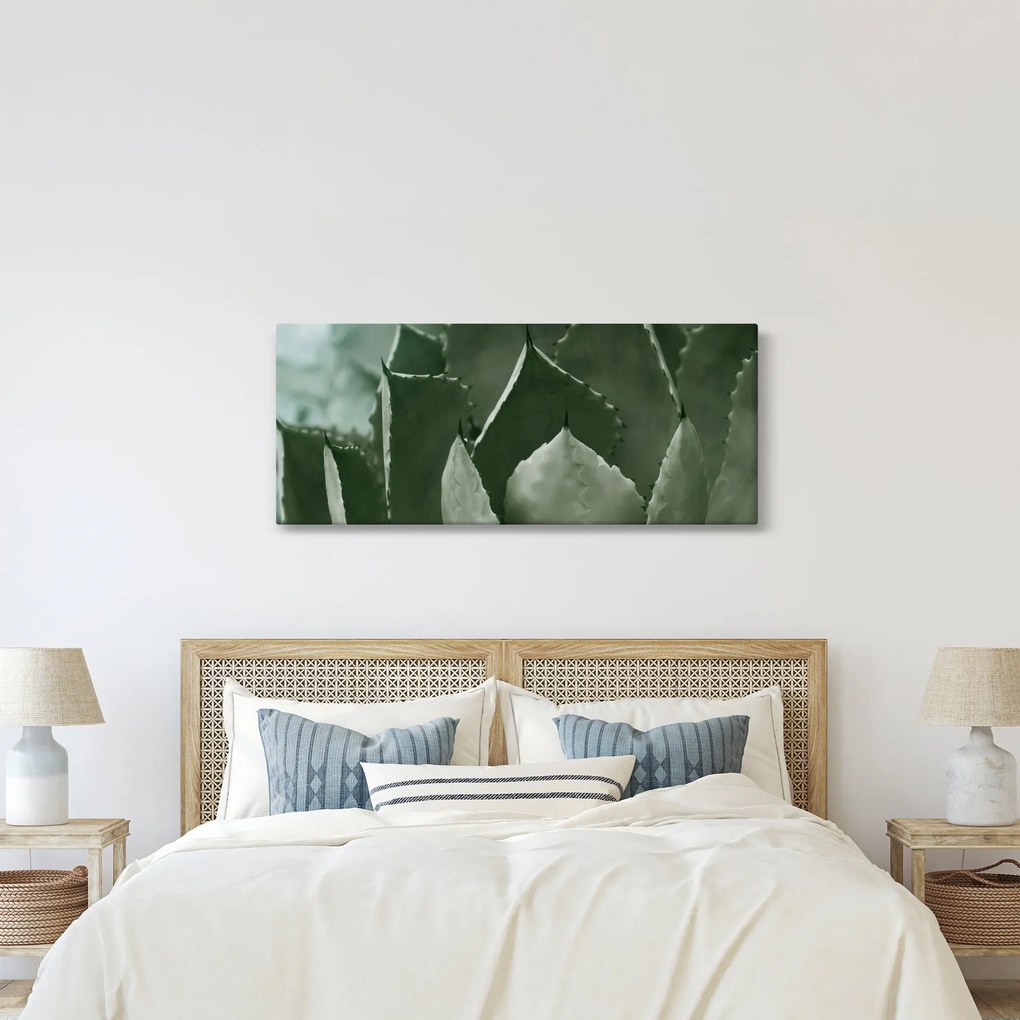Tablou - Agave verde (120x50 cm)