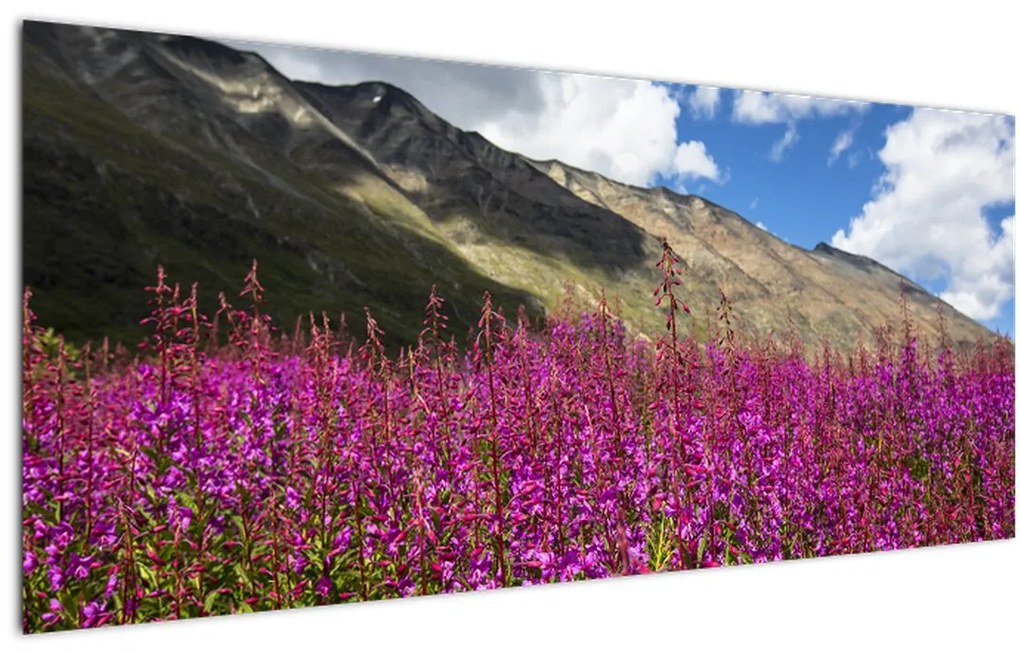 Tablou sceneriei cu lunca montană (120x50 cm)