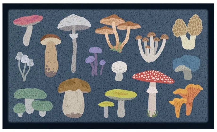 Covoraș de intrare 40x70 cm Mixed Wild Mushroom – Artsy Doormats