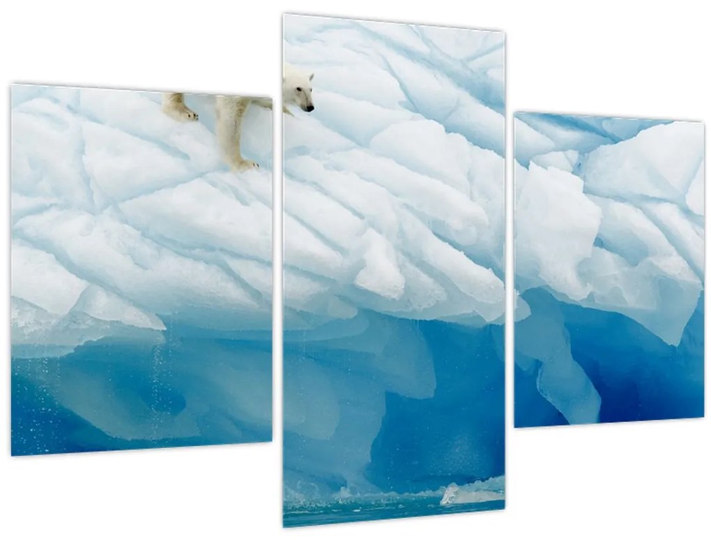 Tablou - Ursul polar (90x60 cm)