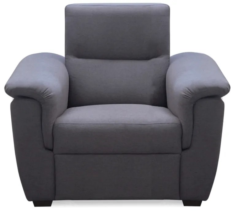 Fotoliu, textil Gri, la comandă, BORN
