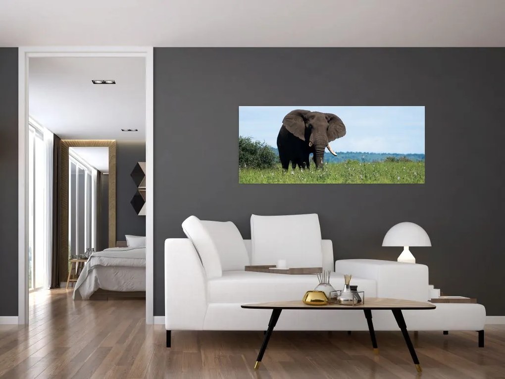 Tablou cu elefant (120x50 cm)