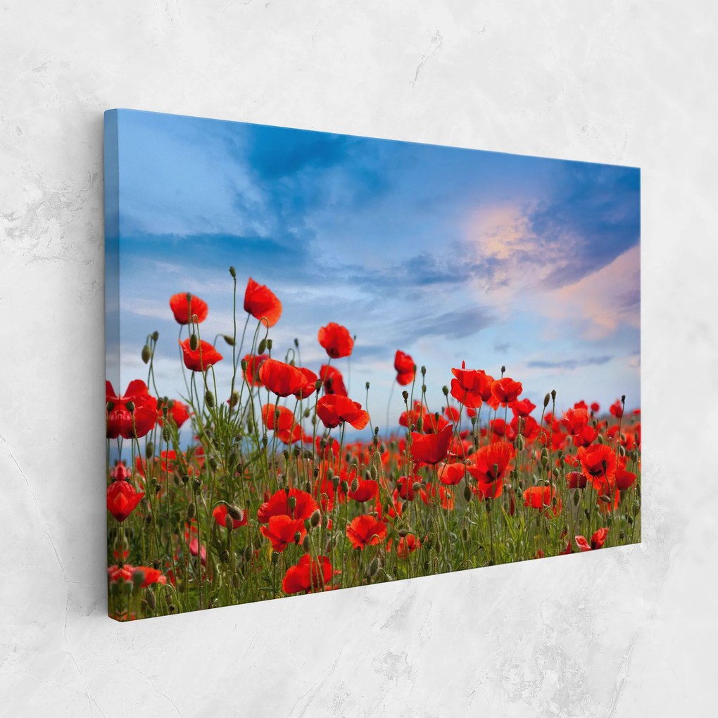 Tablou Canvas, 30x40cm, Dormitor si Living, Flori, Maci, Poppy Field