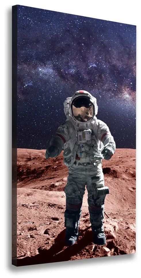 Tablou pe pânză canvas Astronaut