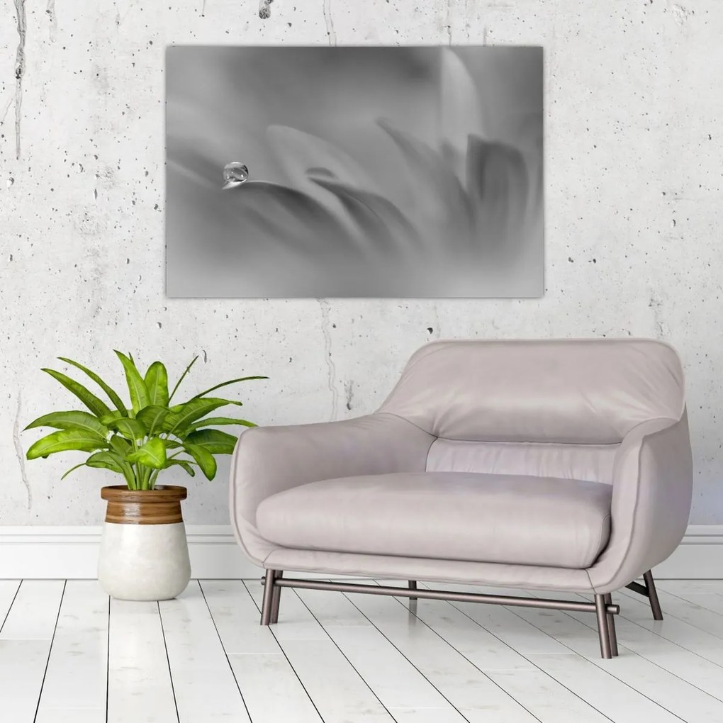 Tablou - Picătură pe floare,alb-negru (90x60 cm)