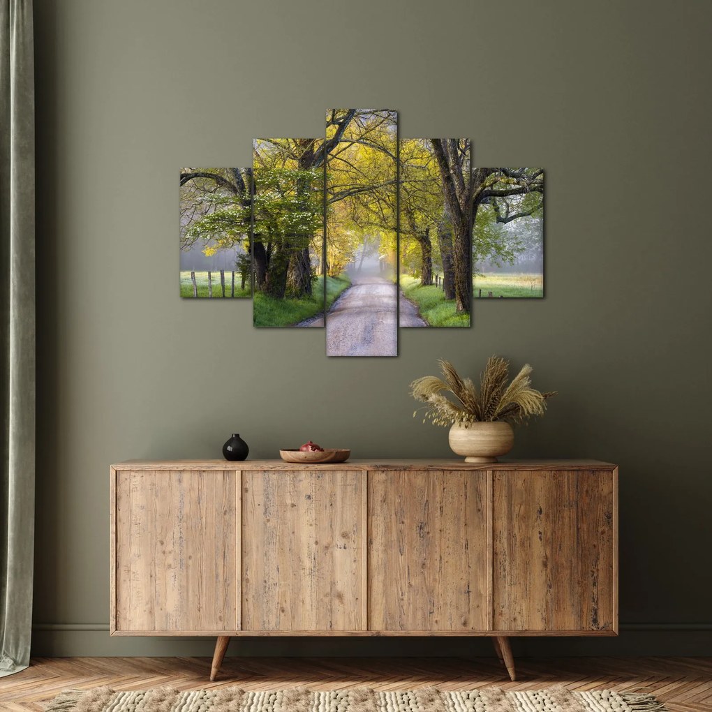 Tablou - Smoky Mountains, Gatlinburg, SUA (150x105 cm)