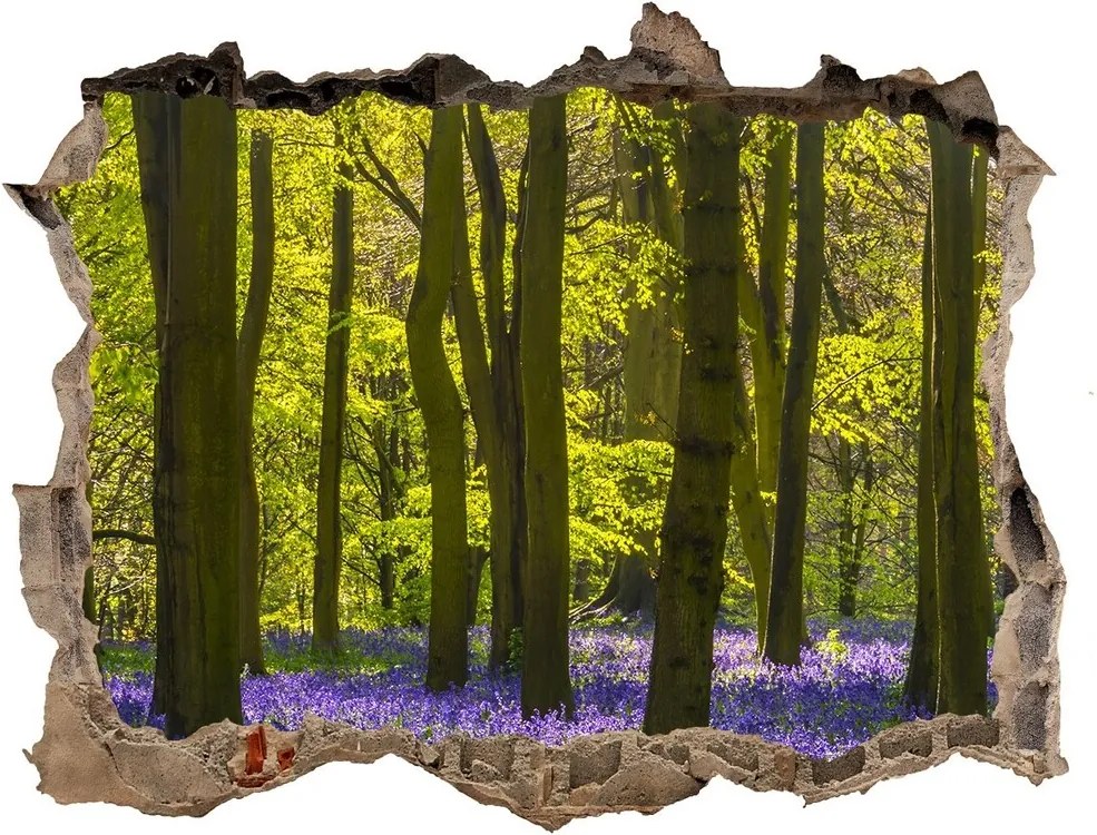 Fototapet 3D gaură în perete Primăvară pădure
