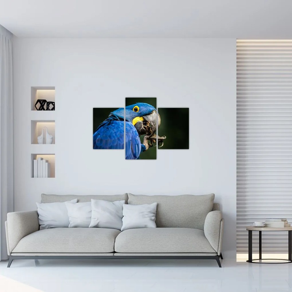 Tablou cu papagal (90x60 cm)