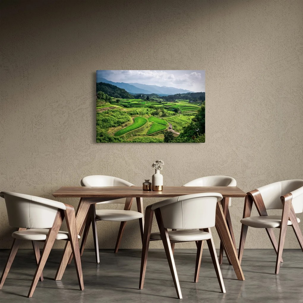 Tablou cu câmp de orez (90x60 cm)