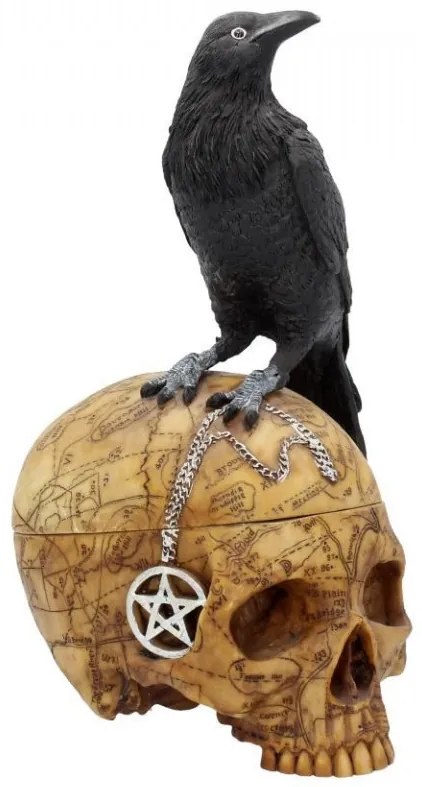 Cutie bijuterii corb pe craniu Salems Familiar 27cm
