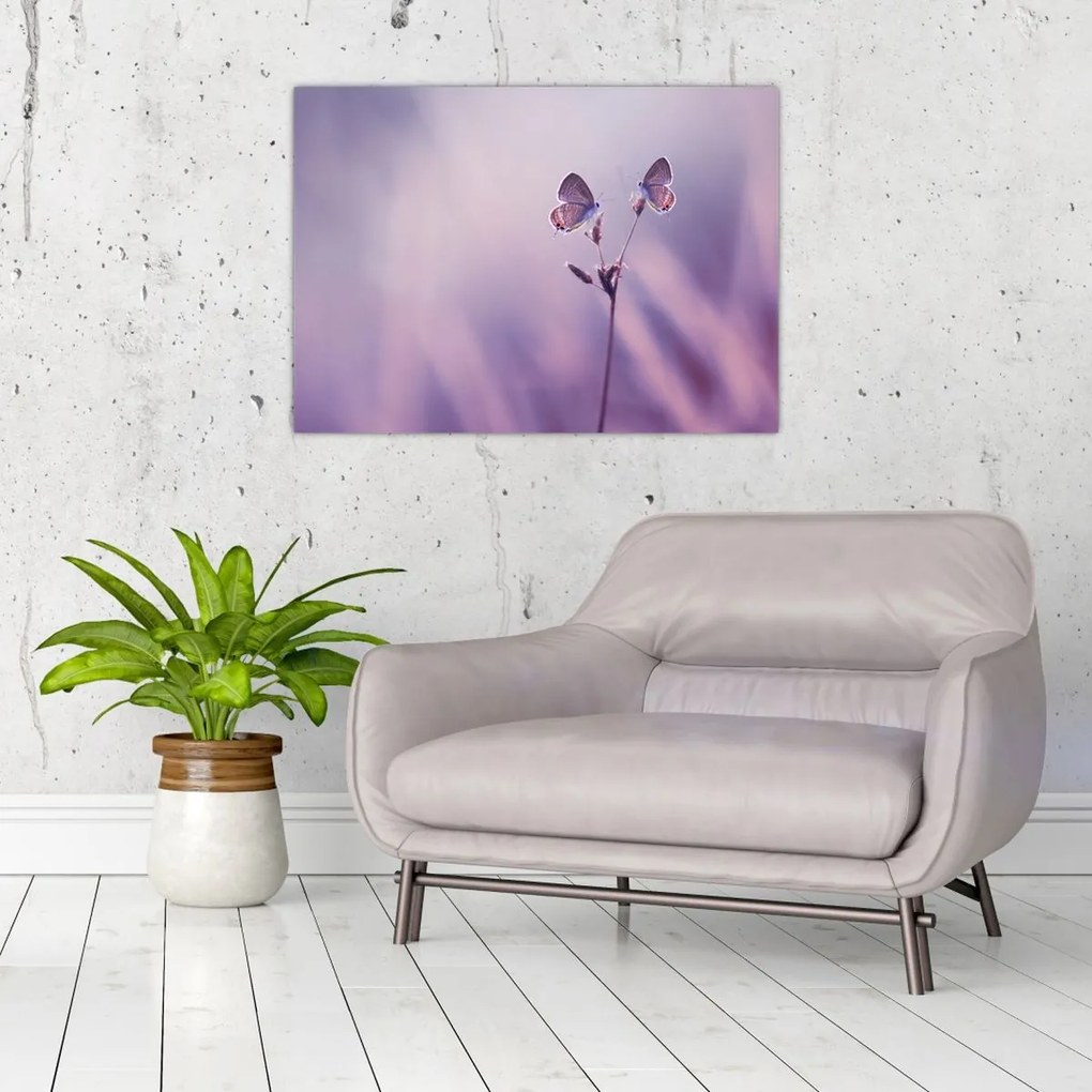 Tablou - Fluturi mov (70x50 cm)