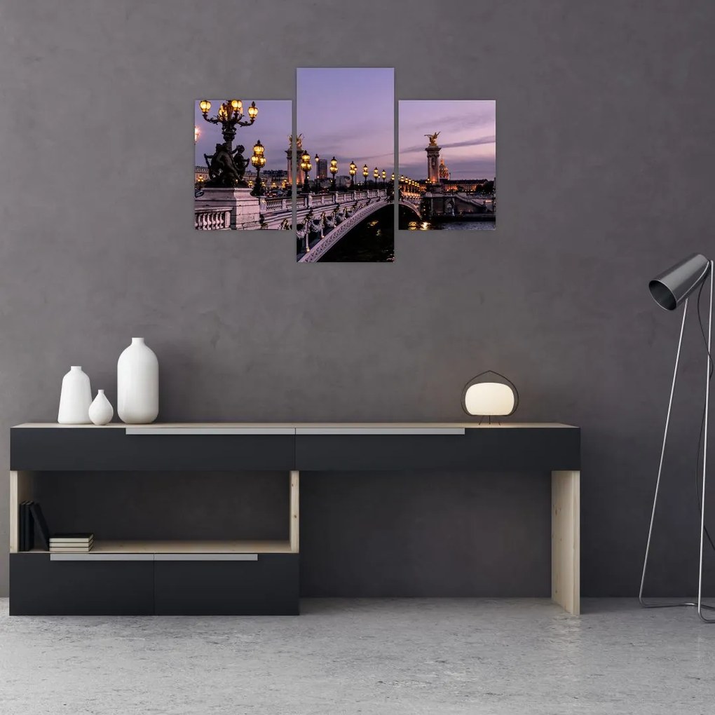 Tablou - Podul lui Alexandru al III.-lea din Paris (90x60 cm)