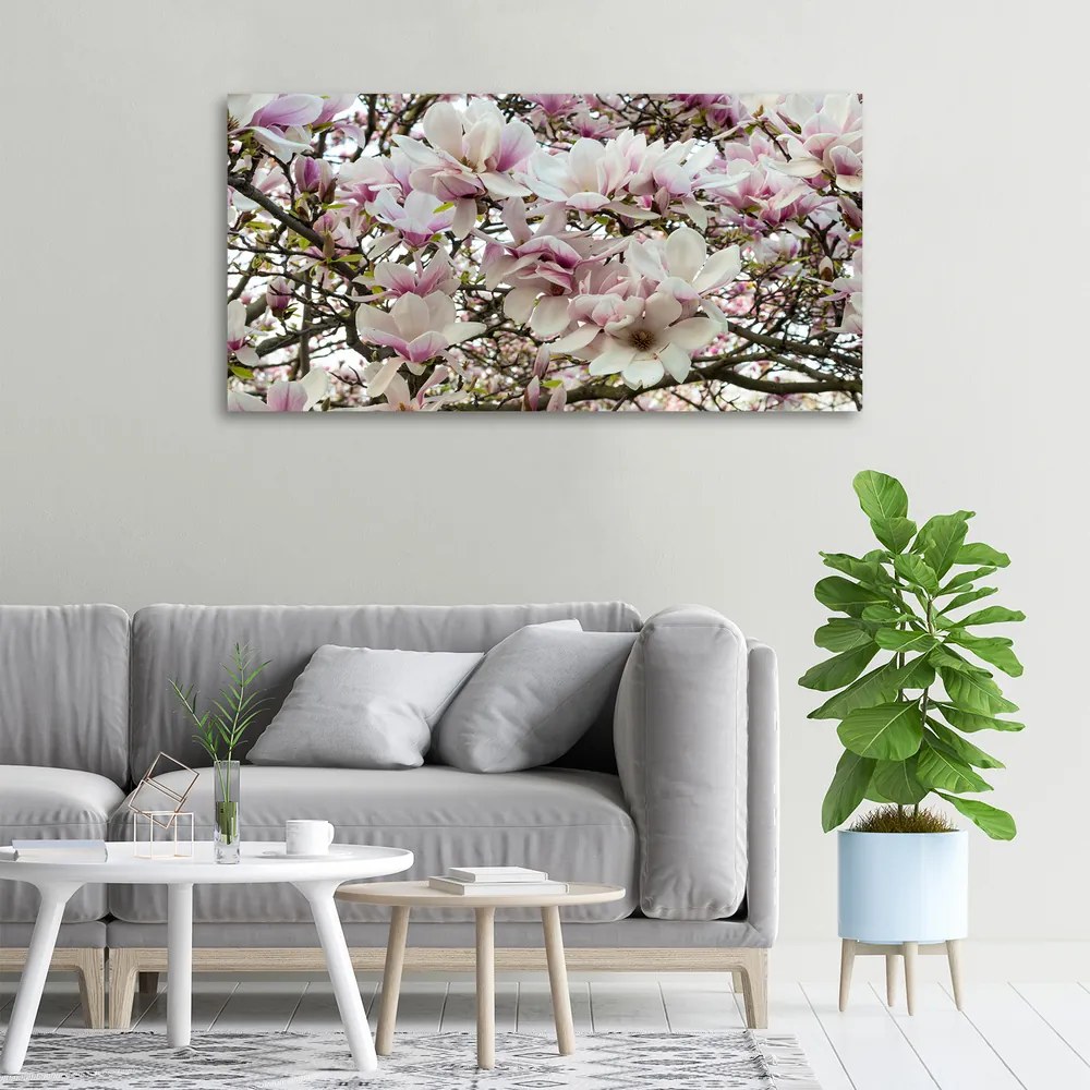 Tablouri tipărite pe pânză Flori magnolia