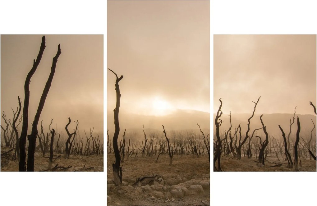 Tablou - Copaci goi (90x60 cm)
