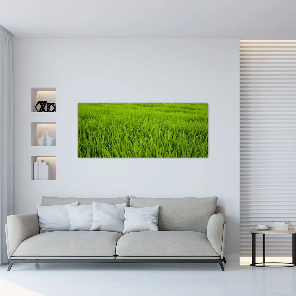Tablou cu iaraba (120x50 cm)