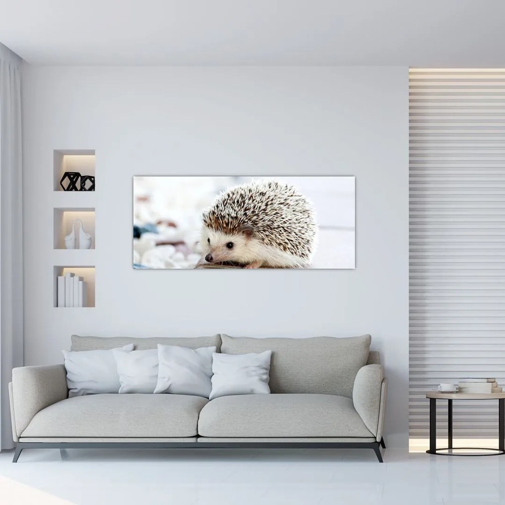 Tablou cu arici (120x50 cm)