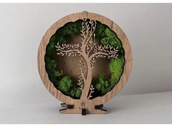 Li-Go 23622/DUB2 - Decorațiune LED de masă reglabilă LED/12W/230V 20x22 cm stejar