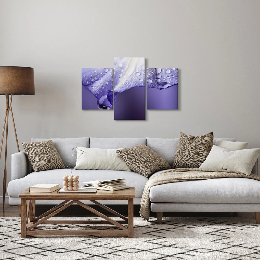 Tablou - Petală cu picături (90x60 cm)
