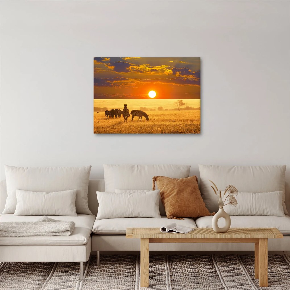 Tablou - Zebre cu apus de soare (70x50 cm)