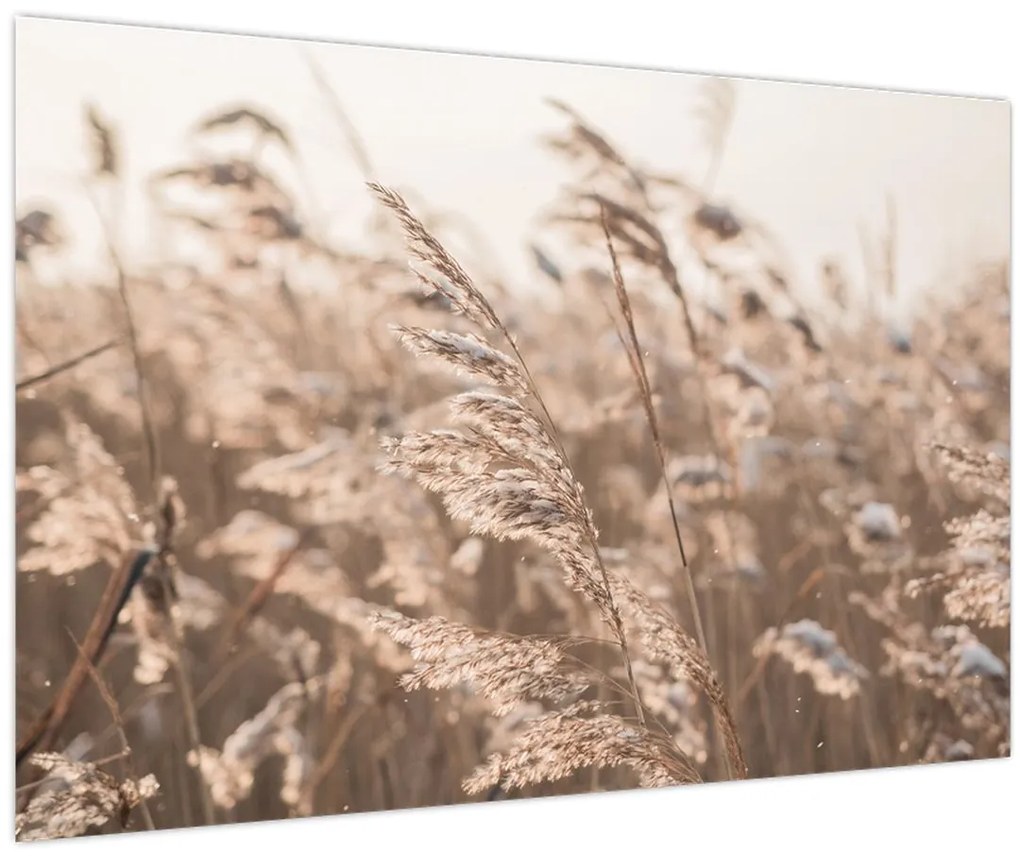 Tablou - Adiere de luncă (90x60 cm)