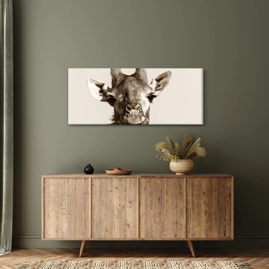 Tablou - Portret de girafă, de epocă (120x50 cm)