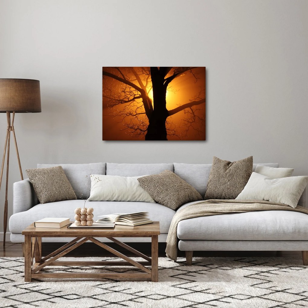 Tablou cu copac în apus de soare (70x50 cm)