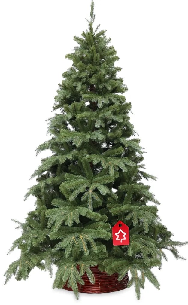 Brad Natura 3D 210 cm