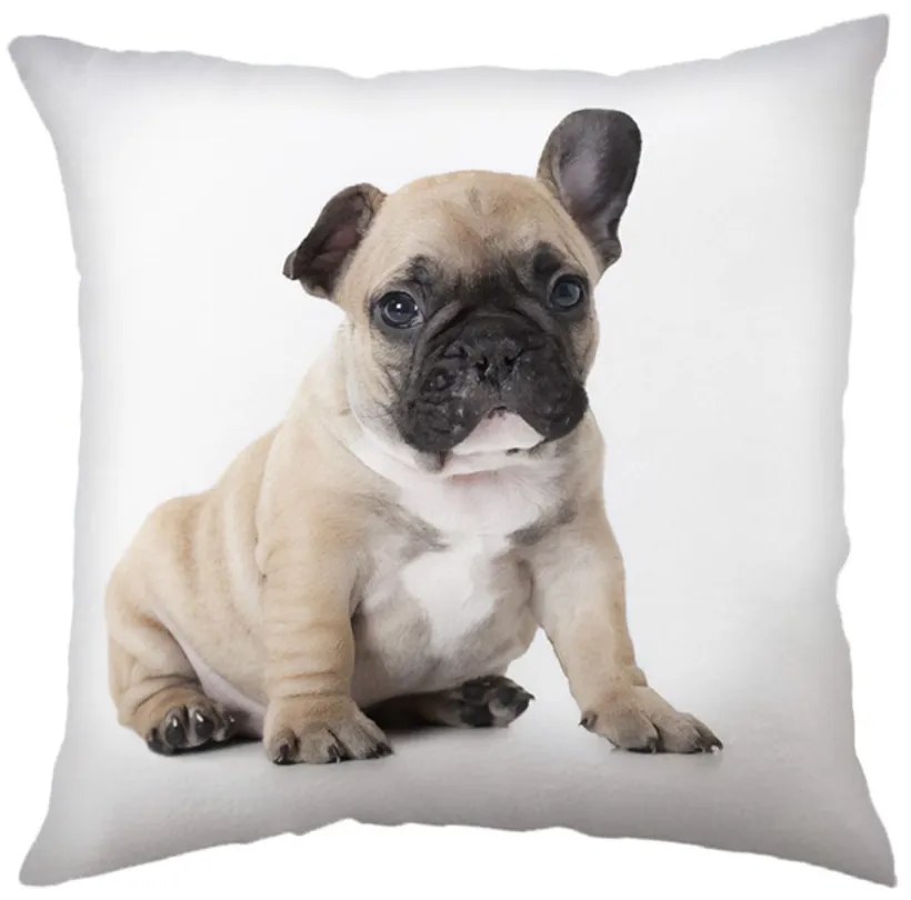 Pernă de copii cu imprimeu