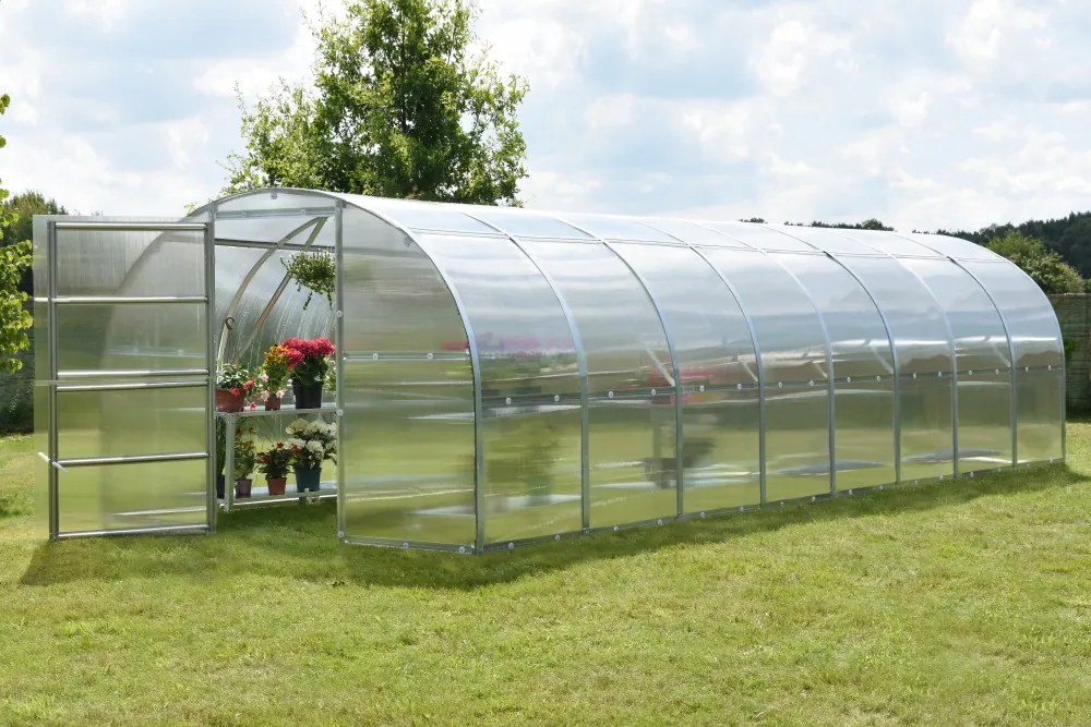 Seră din policarbonat Amber 3x8 m