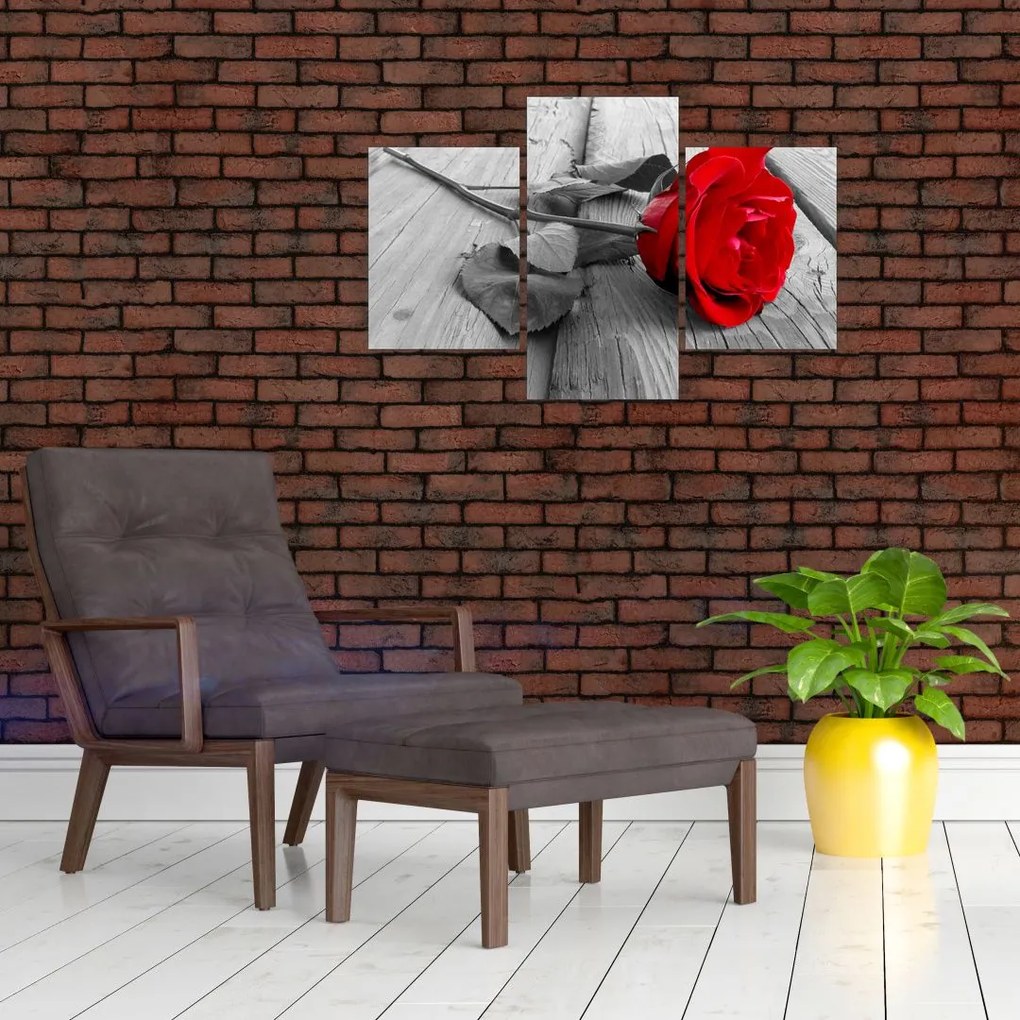 Tablou cu trandafiri roșii (90x60 cm)