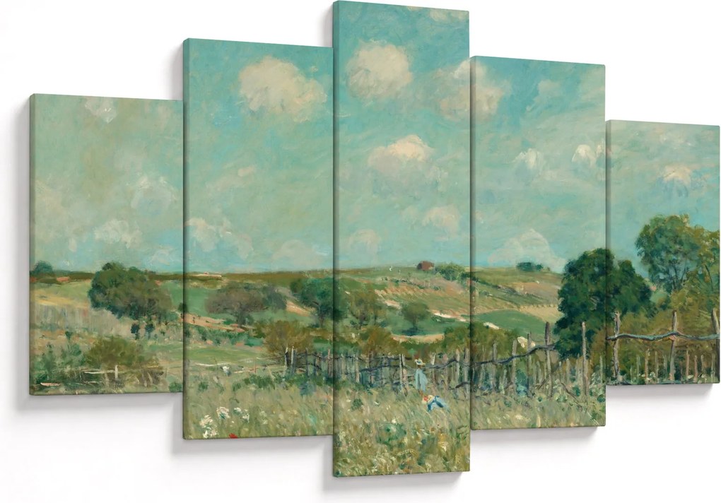 Tablou - Alfred Sisley, Meadow, reproducere (150x105 cm)