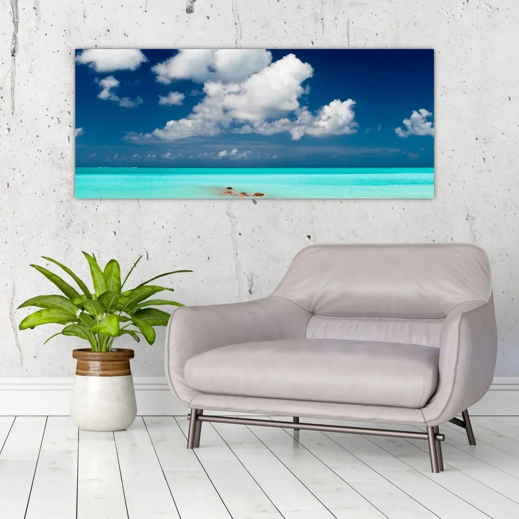 Tablou cu mare (120x50 cm)