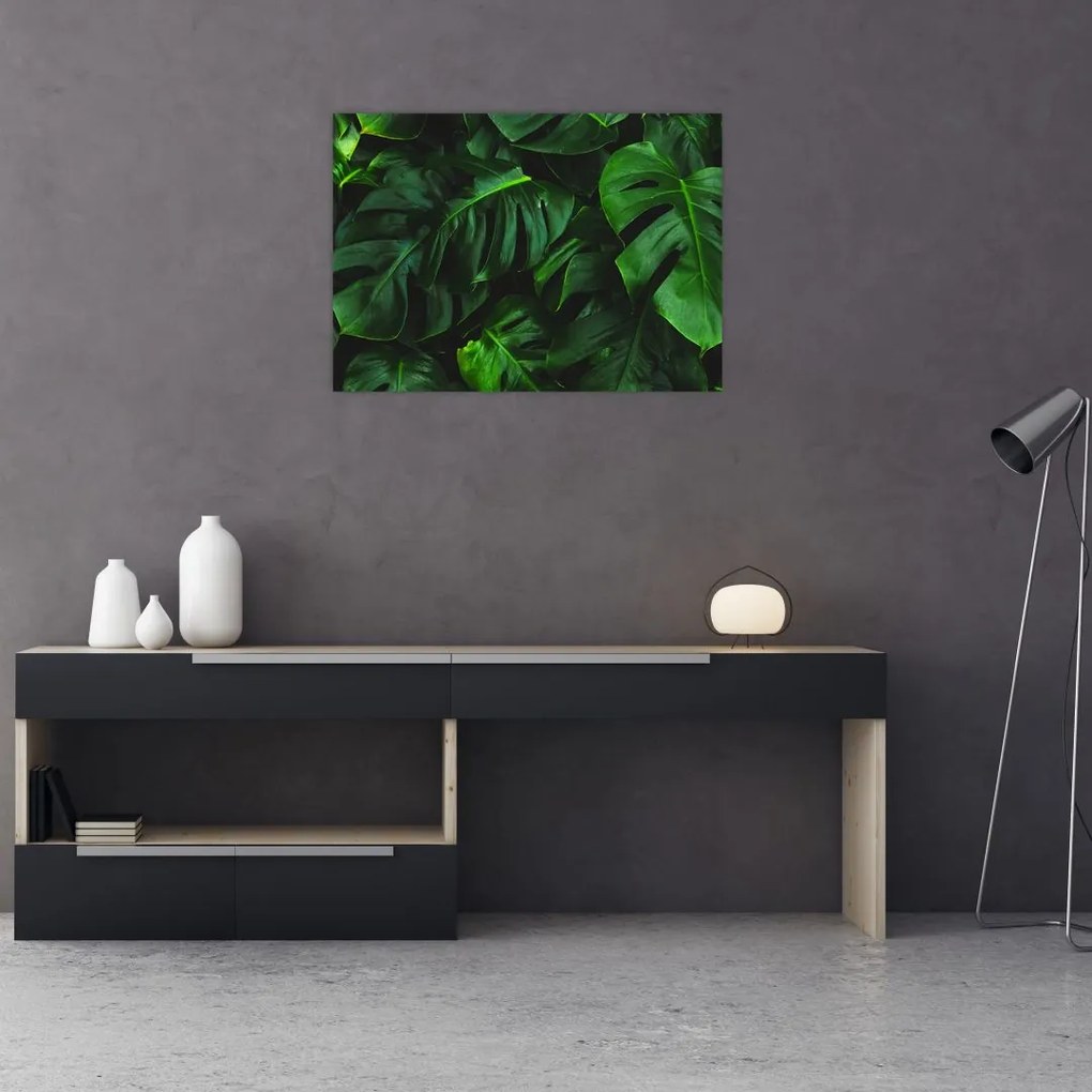 Tablou cu frunze Monstery (70x50 cm)