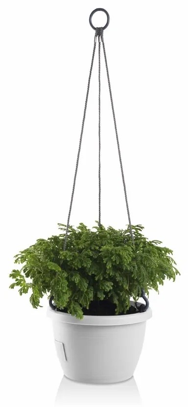 Ghiveci suspendat cu auto-irigare Gardenico Marina,alb, diam. 25 cm, diam. 25 cm