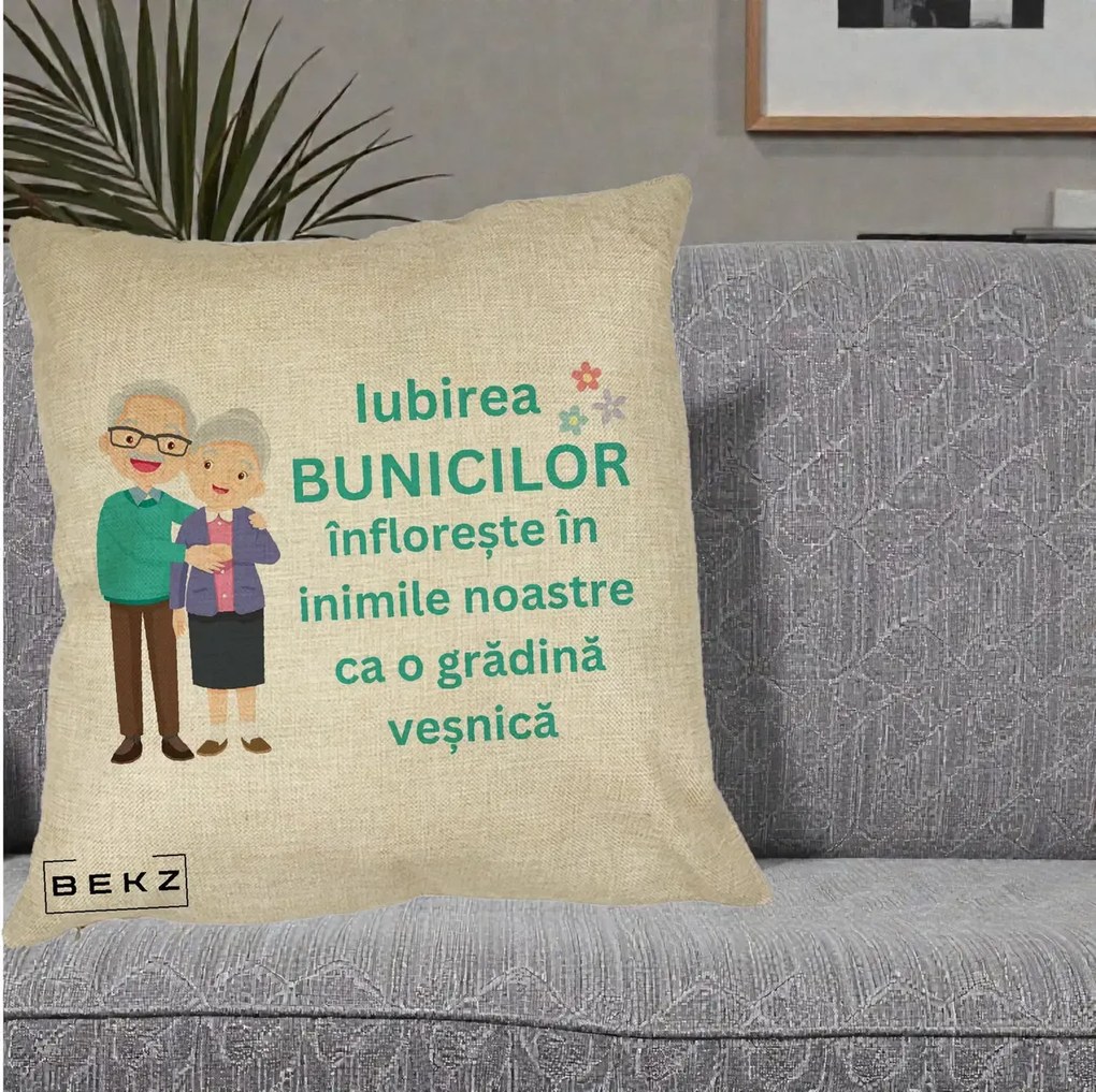 Cadou pentru Bunici - Perna Personalizata Bunicii Iubirea Infloreste Cuplu Senior Teal, 40x40 cm, Crem, Husa Detasabila, Perna Inclusa, BEKZ®