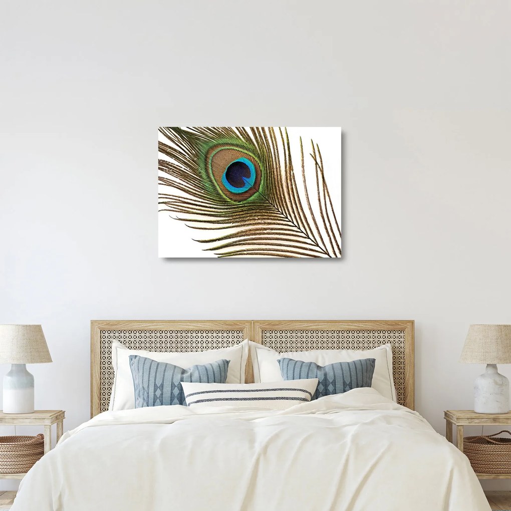 Tablou pe sticlă cu pene de păun (70x50 cm)
