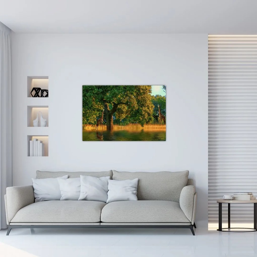 Tablou cu girafe în natură (90x60 cm)
