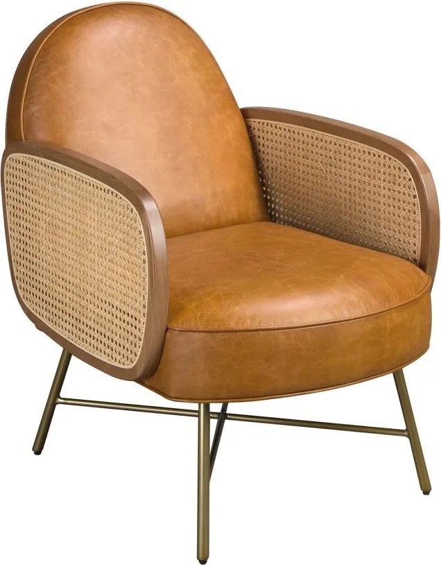 Fotoliu design LUX, Ratan, Piele Naturala 5162