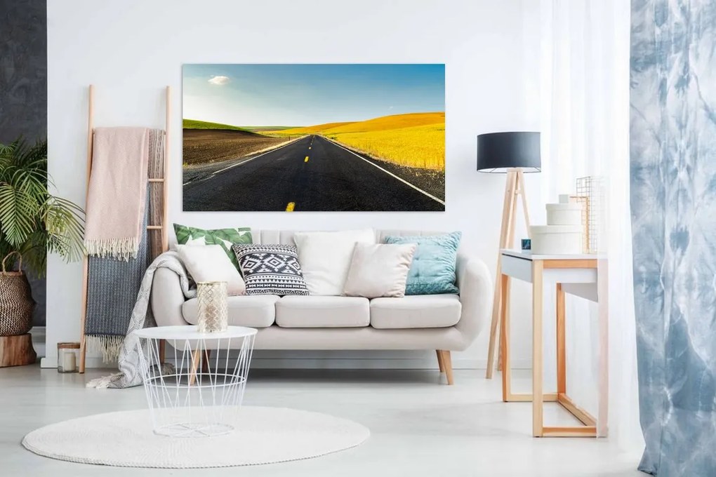 Tablou canvas sosea lan grau - 70x50cm