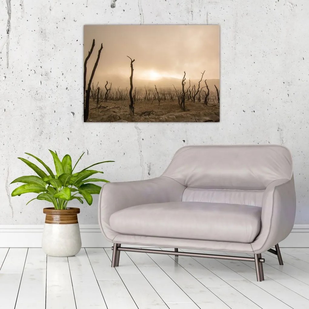 Tablou - Copaci goi (70x50 cm)