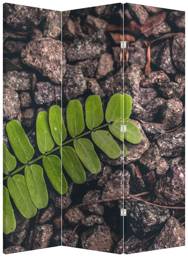 Paravan - Planta verde (126x170 cm)