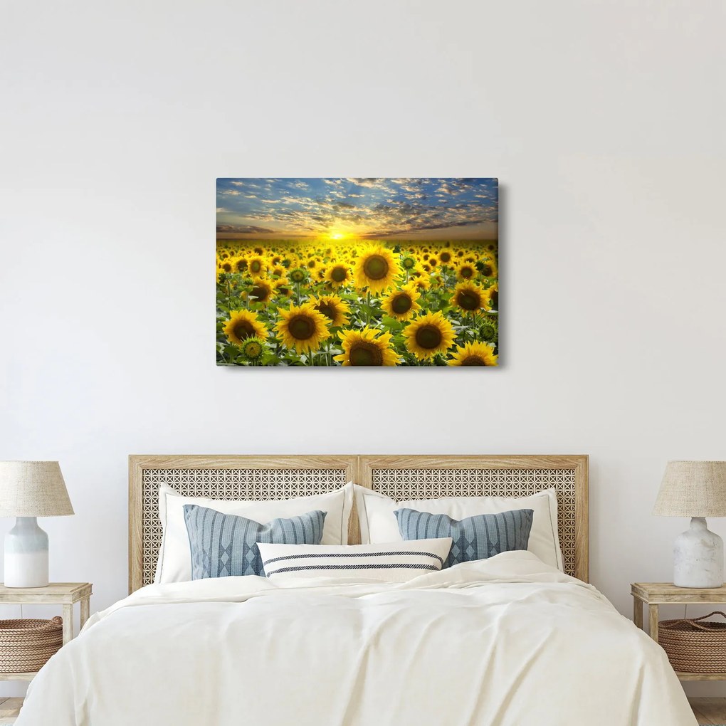 Tablou - Floarea-soarelui la apus de soare (90x60 cm)